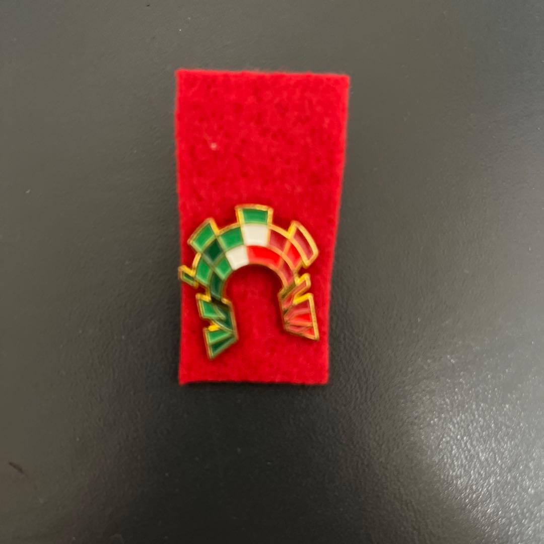 【激レア】大阪・関西万博　イタリアパビリオン　ピンバッジ