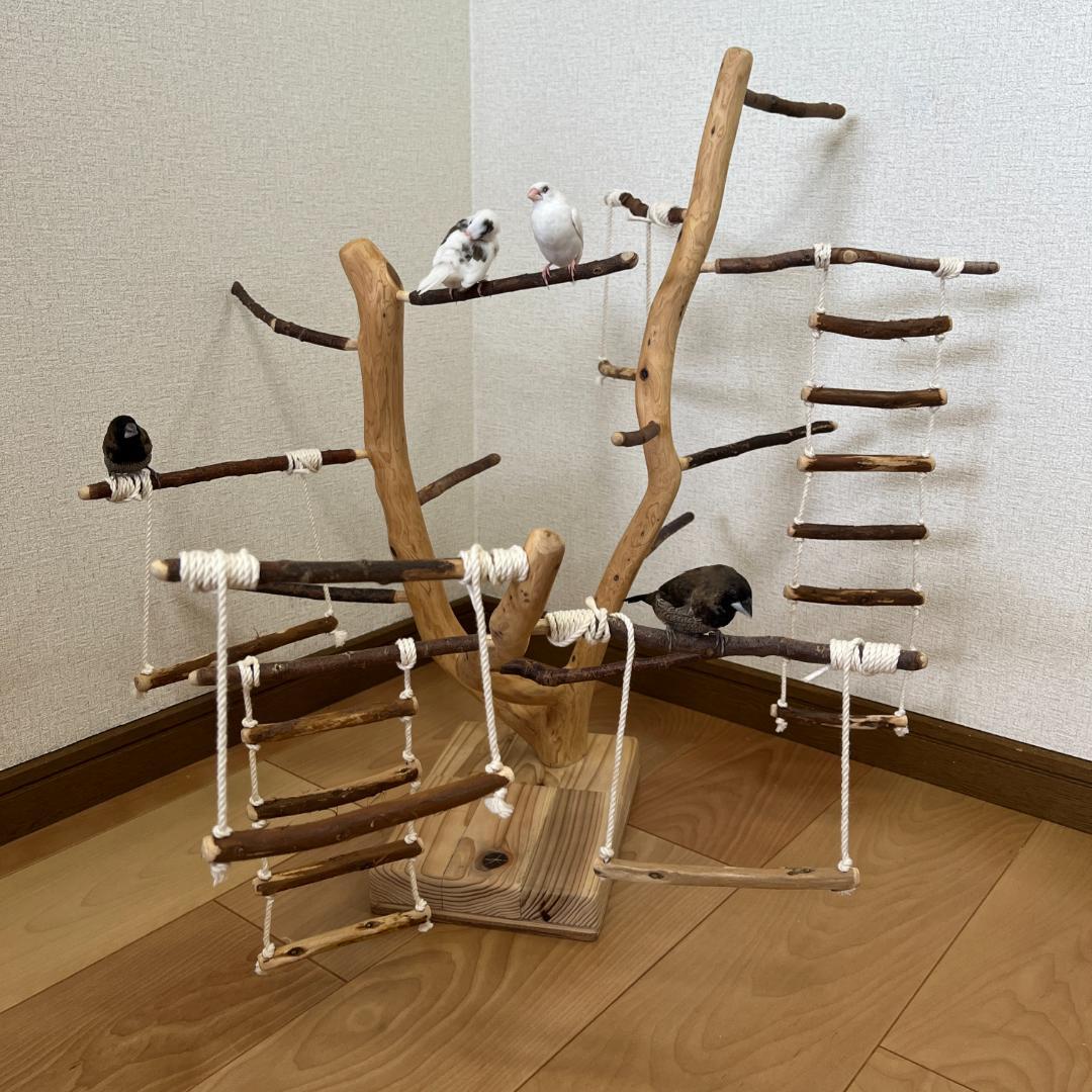 【小鳥用】あちこちブランコ&はしご付♬バードジム
