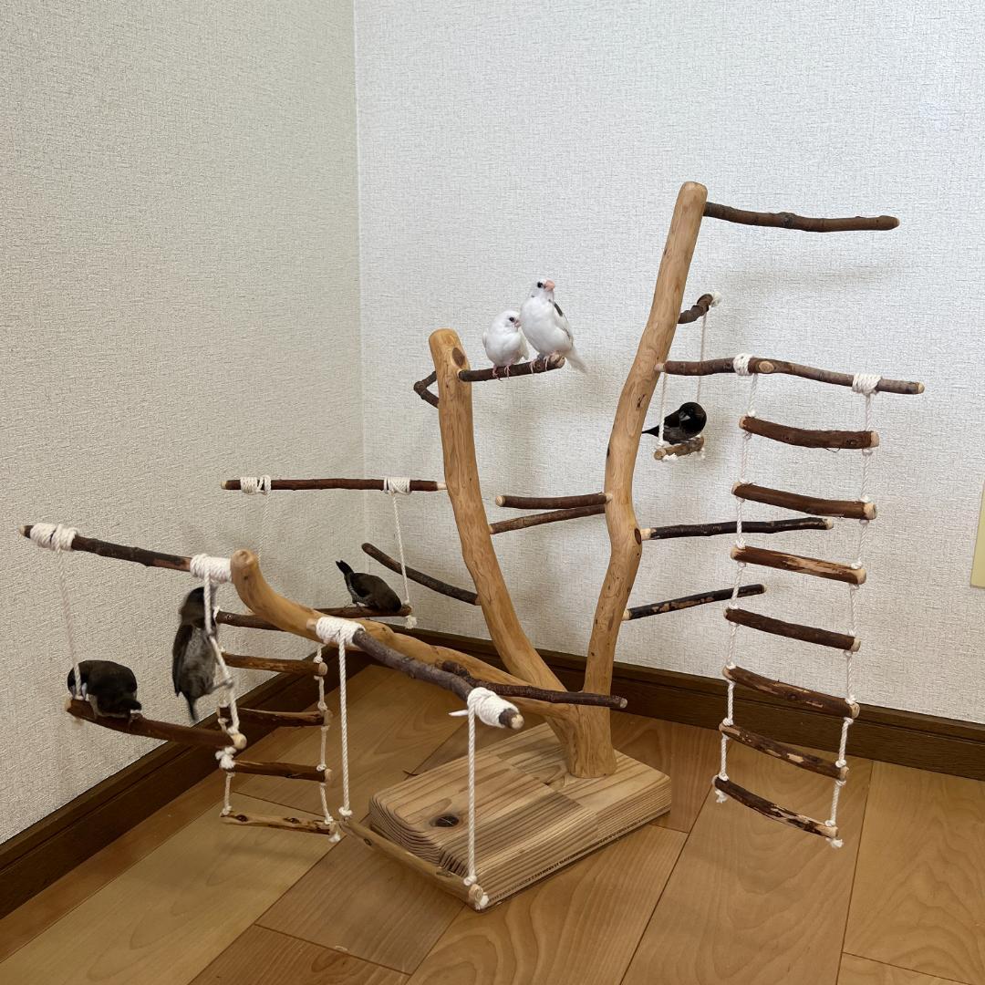 【小鳥用】あちこちブランコ&はしご付♬バードジム