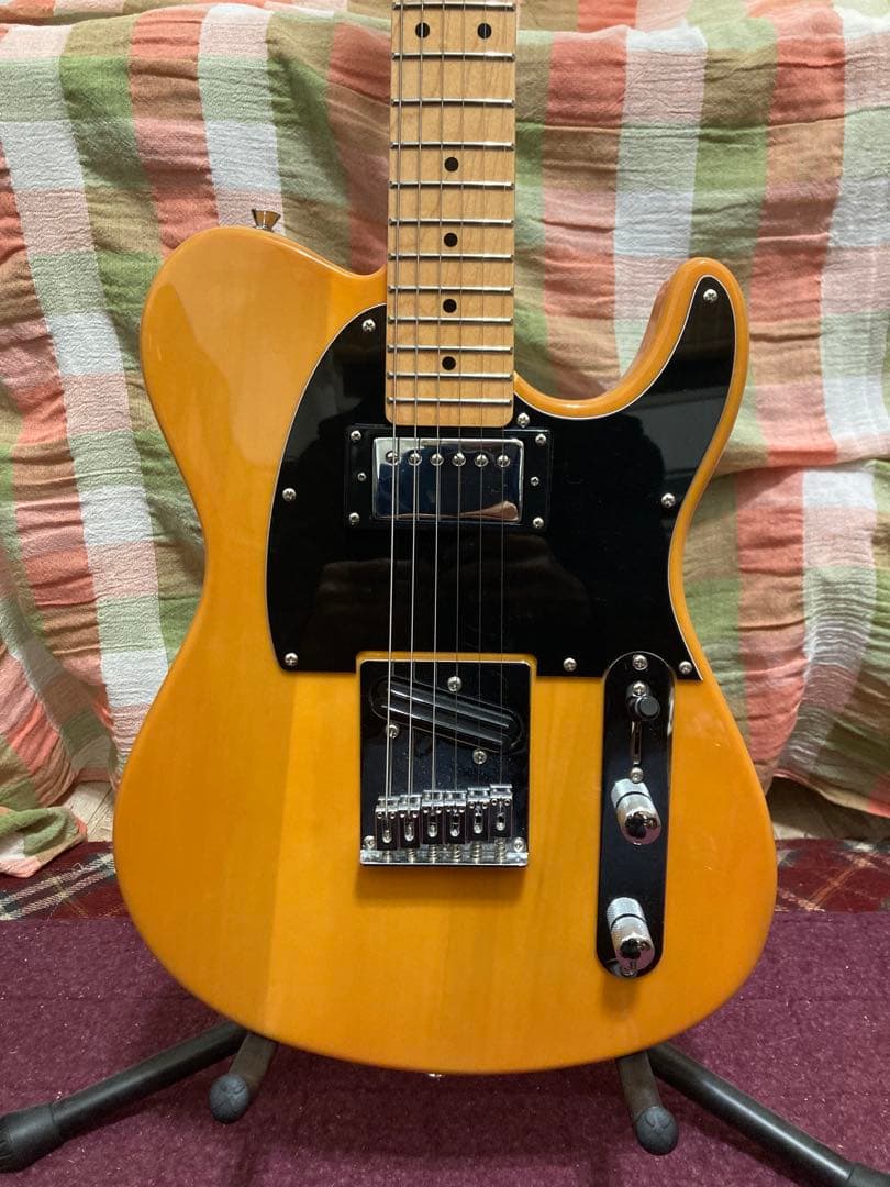 Tagima テレキャスタータイプ　TW-55