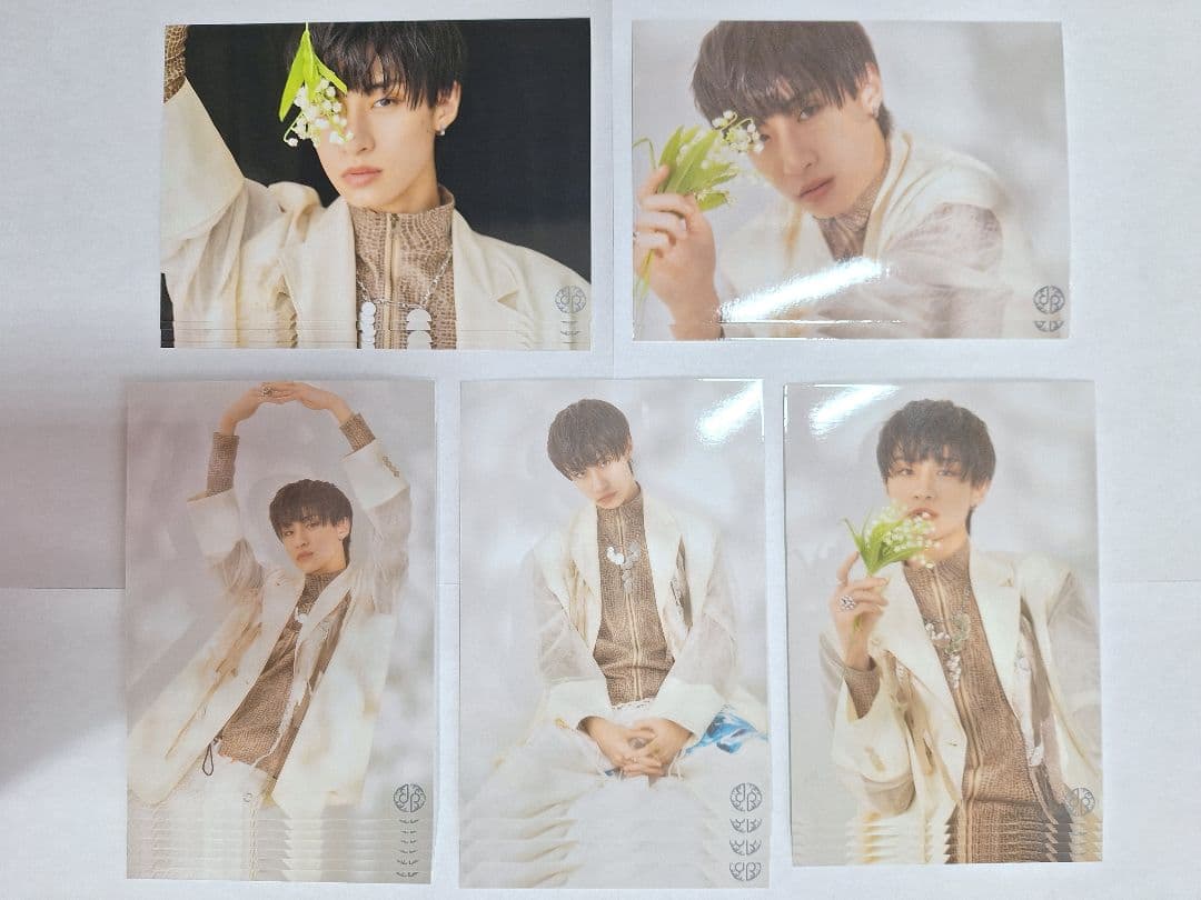 【値下げ中】龍宮城　参　Ray　生写真セット