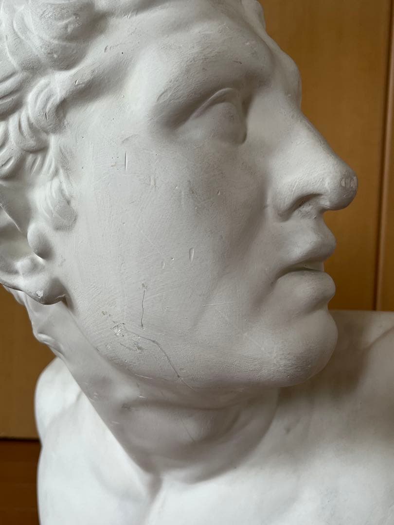 石膏像　ボルゲーゼ　闘士　美大受験