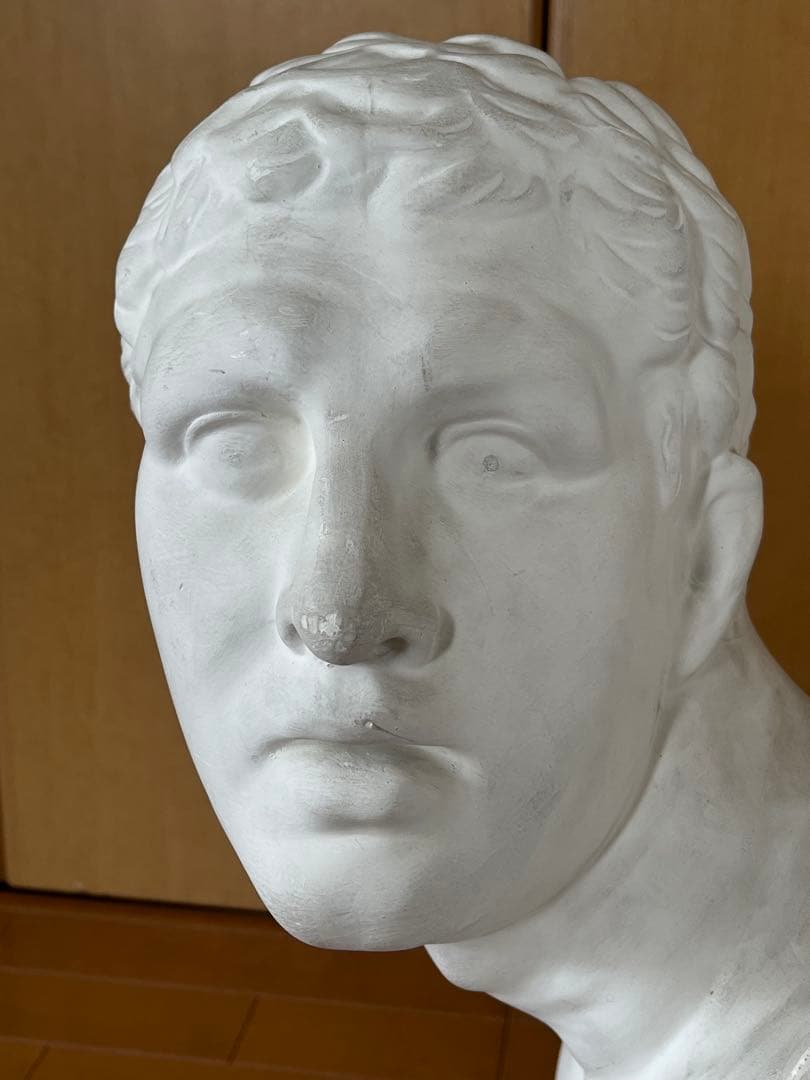 石膏像　ボルゲーゼ　闘士　美大受験