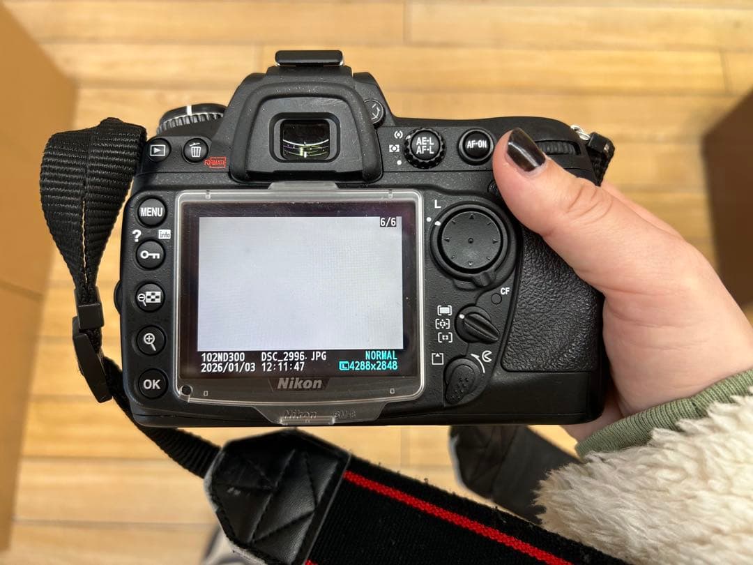 NikonD300本体 レンズ付き