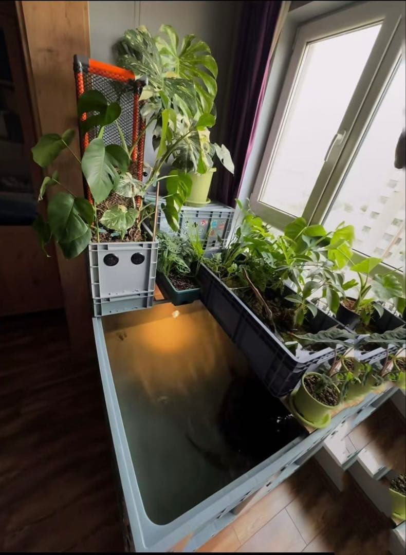 コンパクト小型　水槽池用万能フィルター 外部式飼育濾過器装置25w水中ポンプ付き