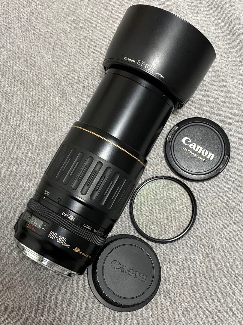 ⭐️美品⭐️キャノンCanon EF 100-300mm 4.5-5.6 USM
