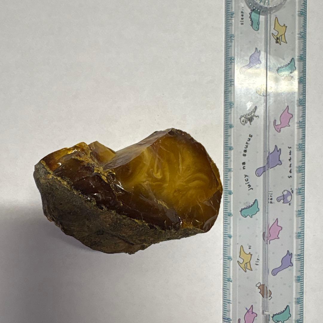 琥珀 アンバー 化石 宝石 原石 岩手県久慈産