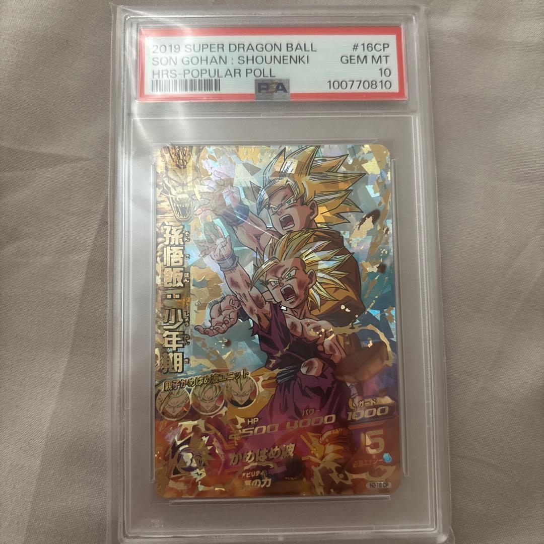 H2-16cp孫悟飯:少年期