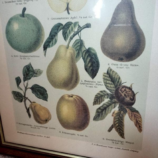 イタリア ヴィンテージ 大判 無垢 木枠 額装 アート パネル 大型 特大 美術