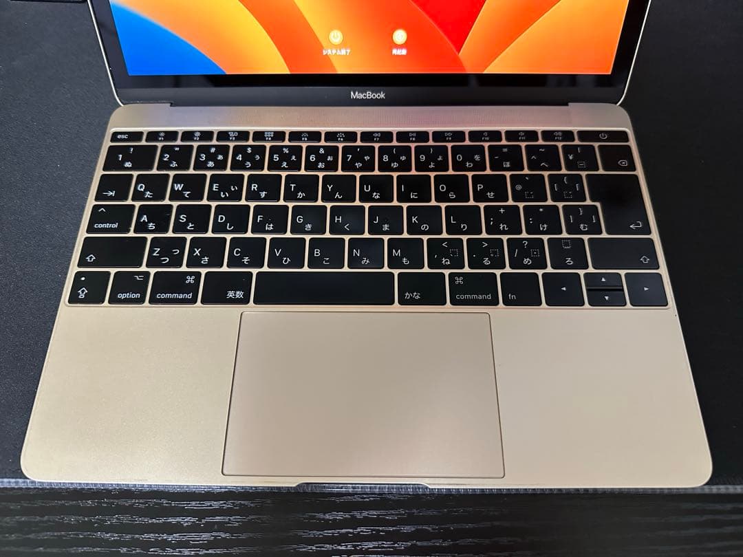 MacBook 2017 12インチ ゴールド　バッテリー正常