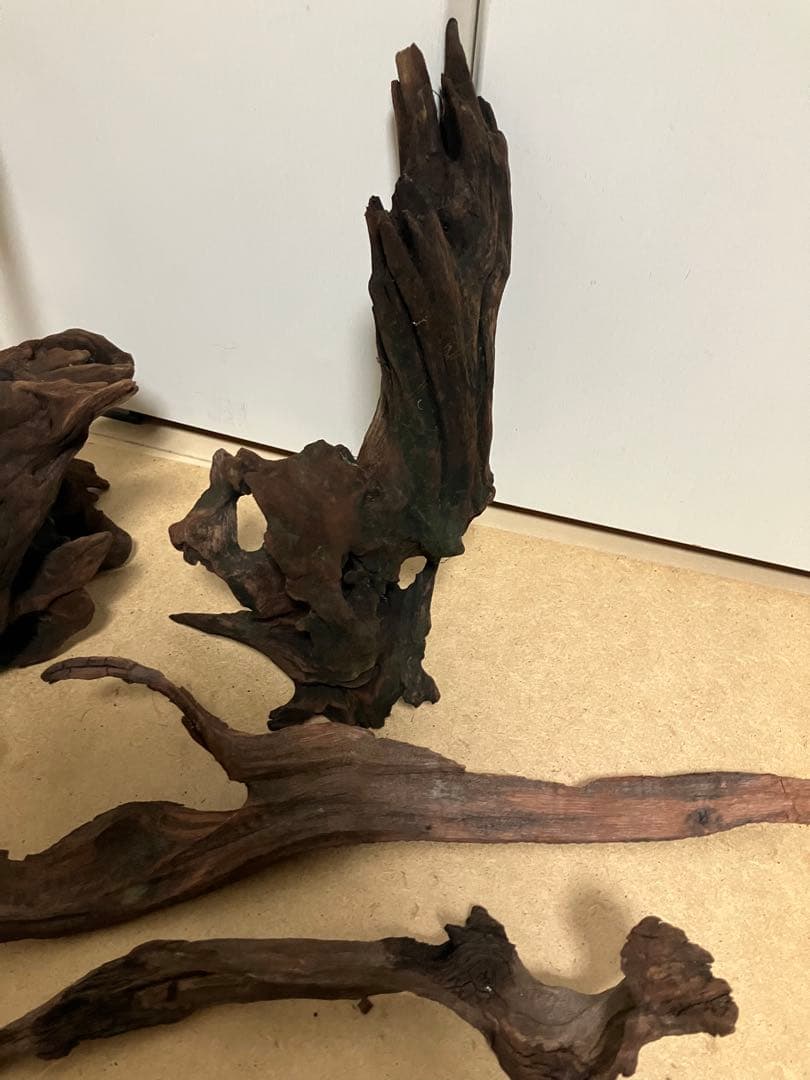 ADA ホーンウッド4つ