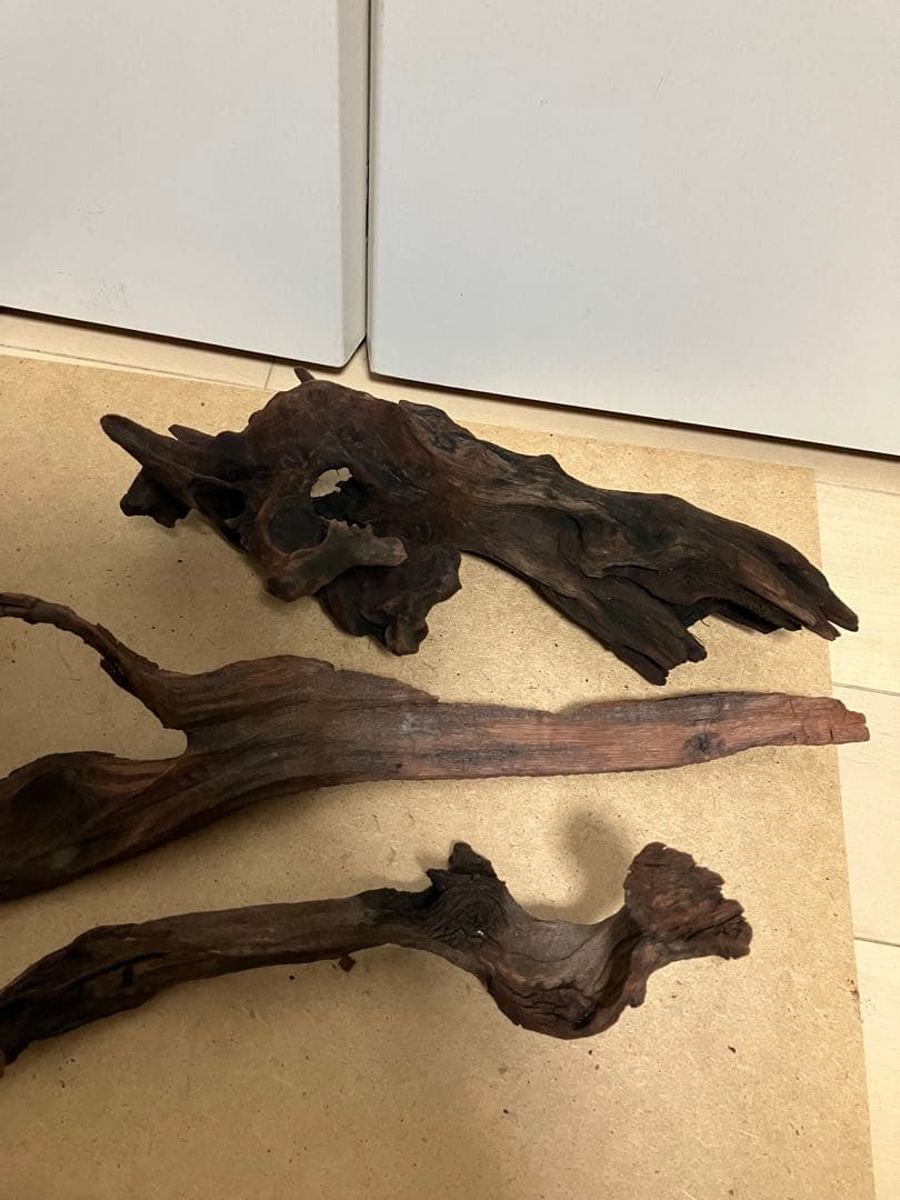 ADA ホーンウッド4つ