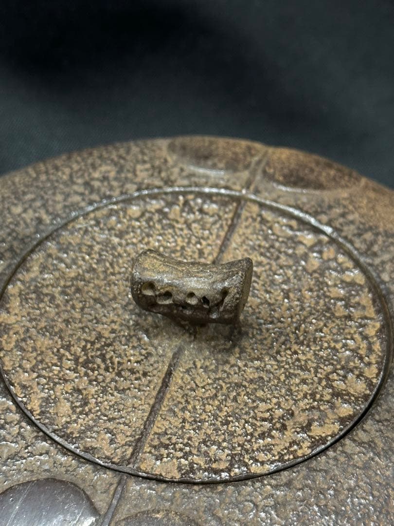 【USED美品】南部鉄器　三厳堂　鉄瓶　急須　柿文　柑橘　橘