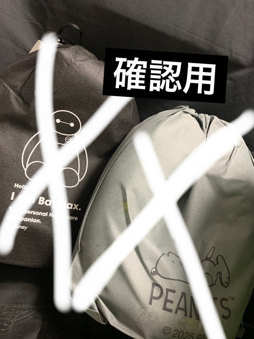 確認用！SNOOPYとベイマックス