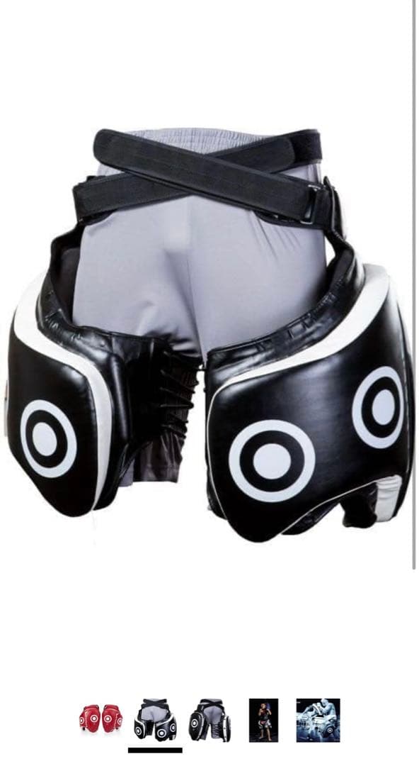 Fairtex TP3 フェアテックス 太ももパッド　キックボクシング