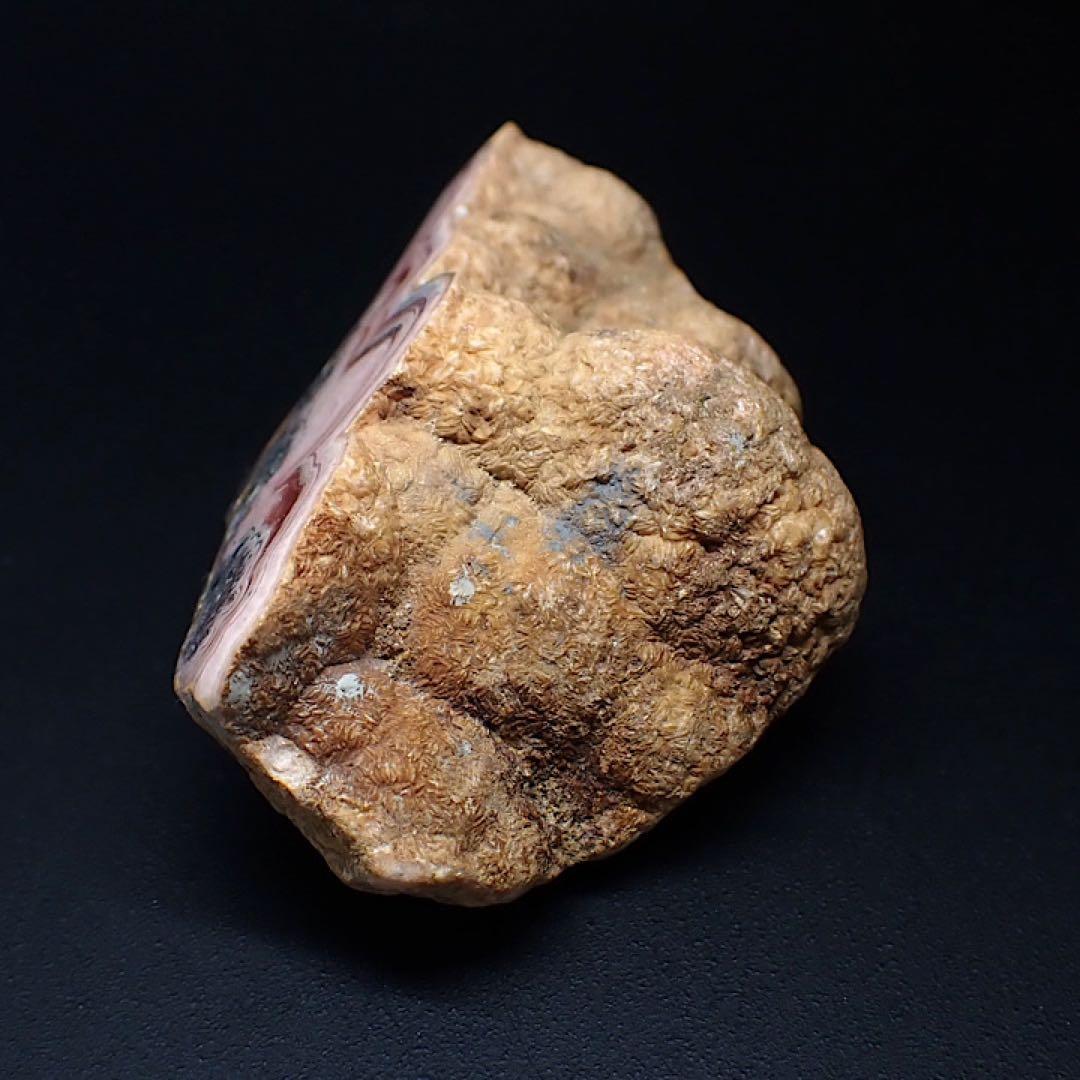 【ペルー産】インカローズ