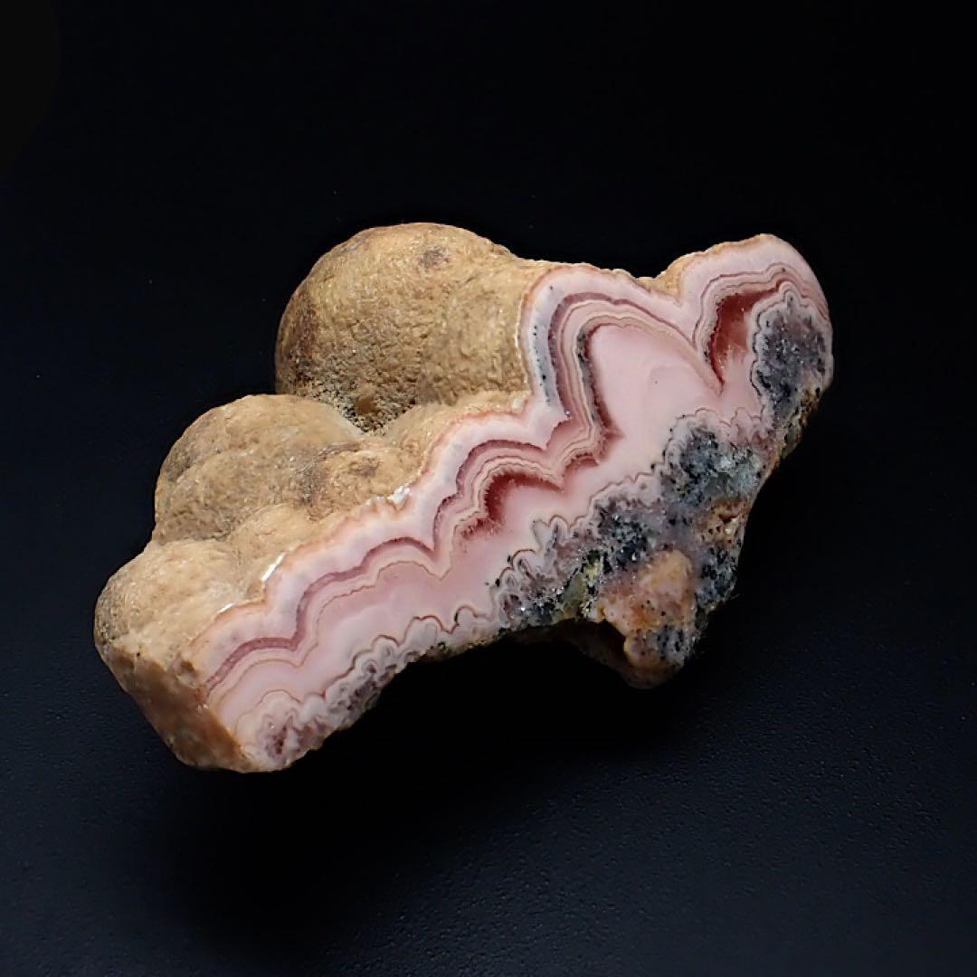 【ペルー産】インカローズ