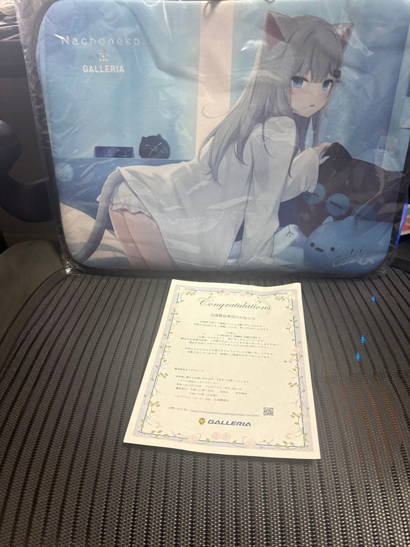 ガレリア×なちょ猫　コラボ　ノートPCケース　甘城なつき　Nachoneko