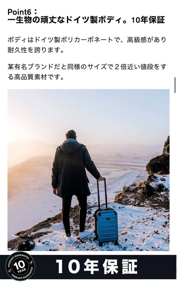 【美品】希少グレー!ソルガード,Solgarrd,39L,キャリーケース,