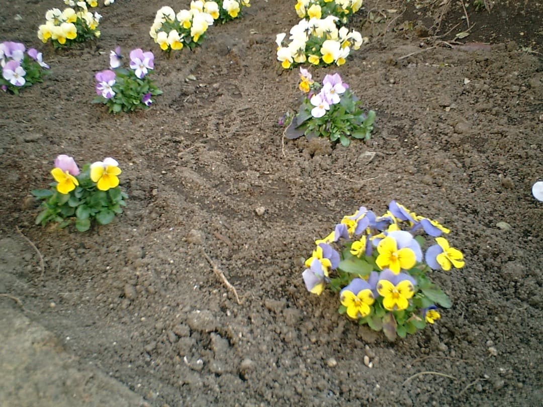 レトロ⭕️美品【動作oK!】CASIO EXILIM CARD EX-S1