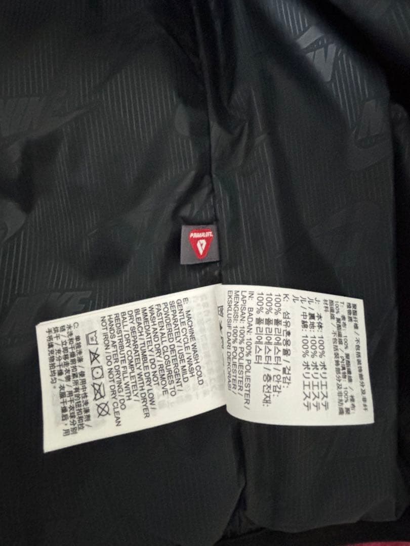 NIKE ベストダウン