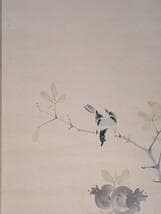 【真作】掛軸　五島耕畝　石榴に小禽図　淡彩花鳥画の逸品　共箱入　T111