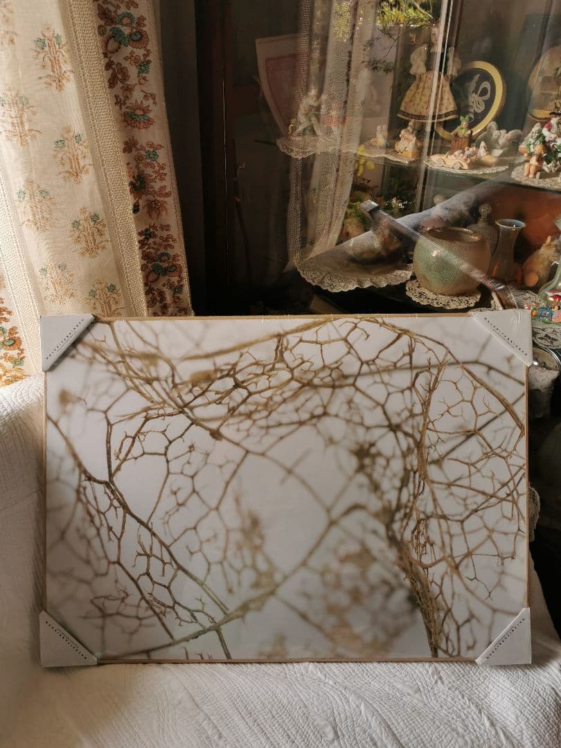 未開封デンマーク アートパネル マレリファブリケン 白木オーク リーフスケルトン