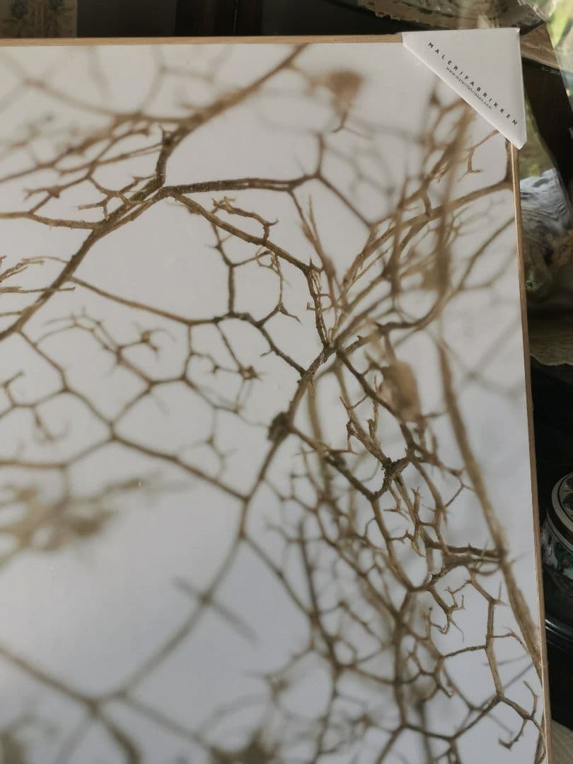 未開封デンマーク アートパネル マレリファブリケン 白木オーク リーフスケルトン