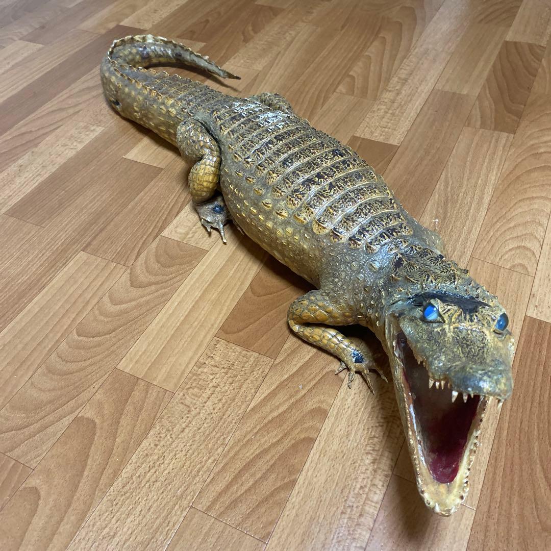 リアルワニ模型 約90cm