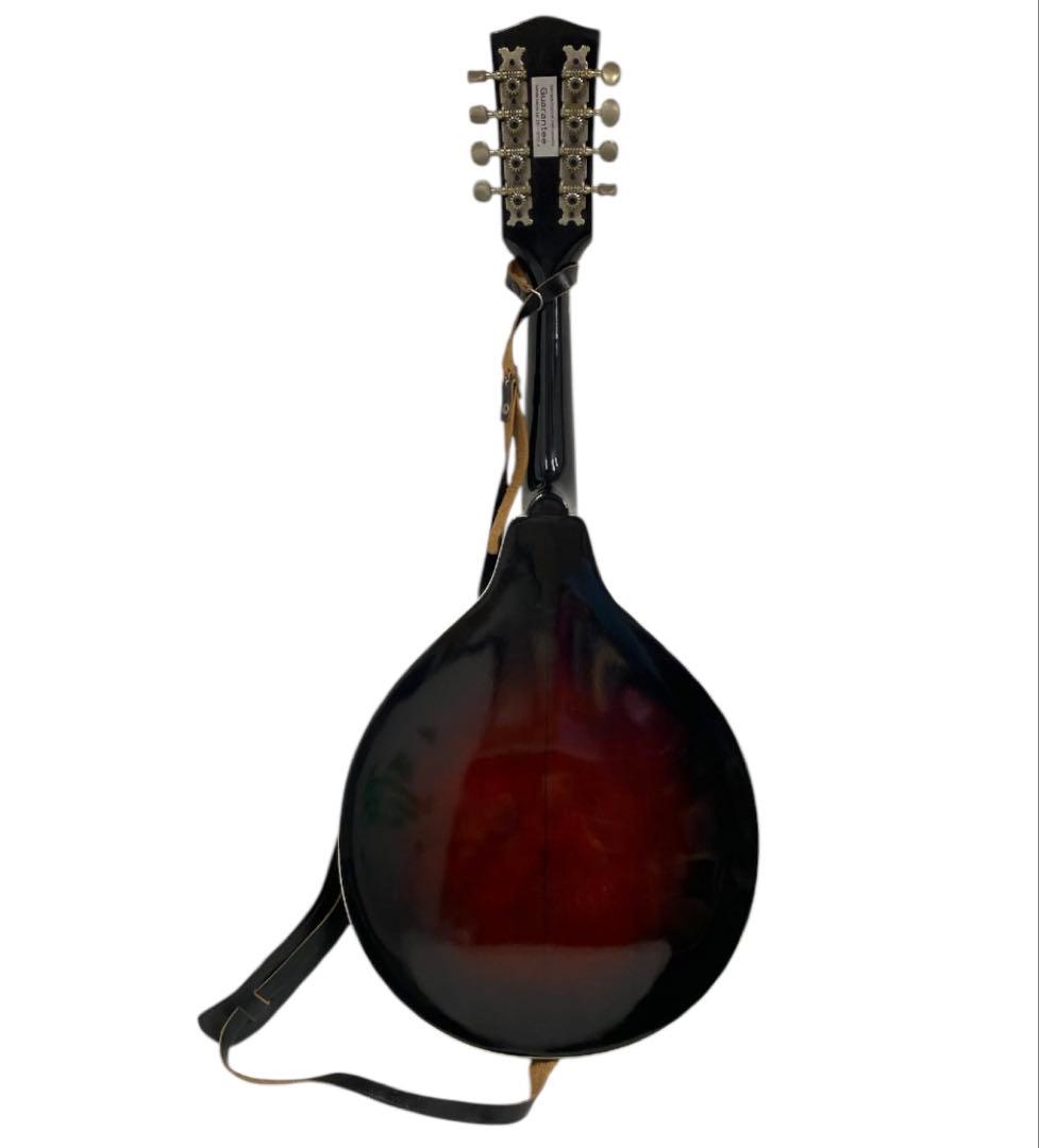 JUMBO フラットマンドリン　25オ108