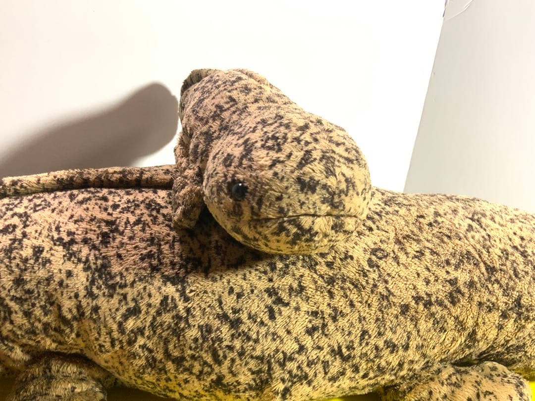 オオサンショウウオ　BIG 大約８５センチ　小約30センチ　小約20センチ