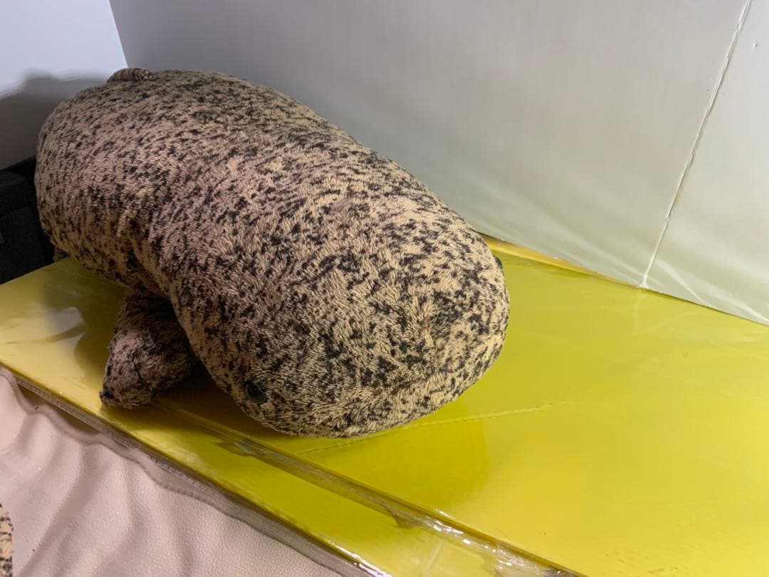 オオサンショウウオ　BIG 大約８５センチ　小約30センチ　小約20センチ