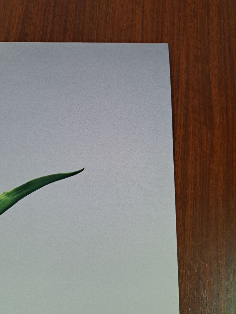 【激レア/希少/当時物】あいみょん「おいしいパスタがあると聞いて」★ポスター