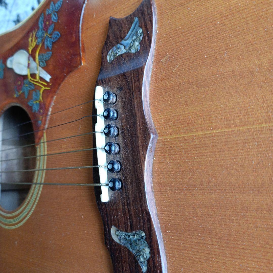 DOVEダヴモデル Burny BD-85 バーニー フェルナンデス 百瀬さん