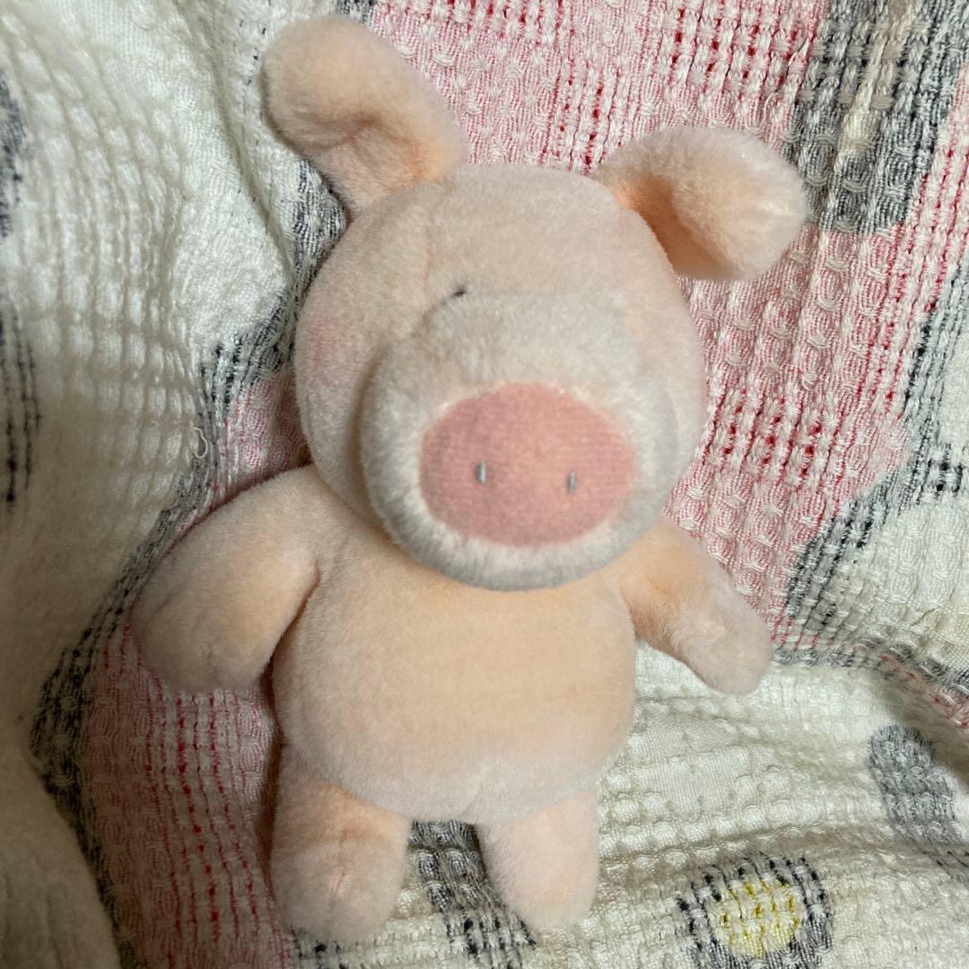 サンアロー　kipper ブタ　ぬいぐるみ　中古品