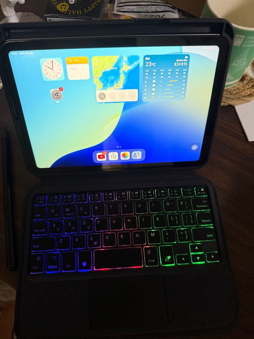 iPad本体 iPad Mini7 256GB WI-FI + Cellular