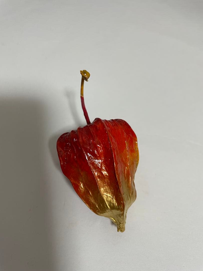 ほおずき　香合