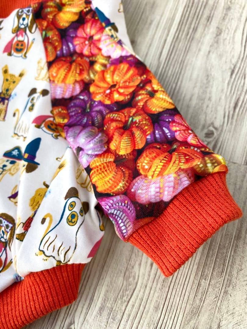 犬服  ラグラン(Ｓ)   ꒡̈⃝Lily꒡̈⃝ハンドメイド   ☻HELLOWEEN☻