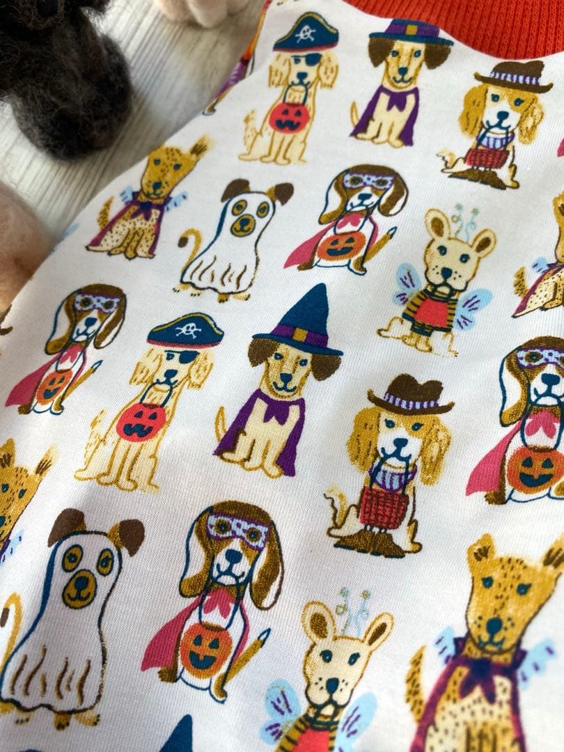 犬服  ラグラン(Ｓ)   ꒡̈⃝Lily꒡̈⃝ハンドメイド   ☻HELLOWEEN☻