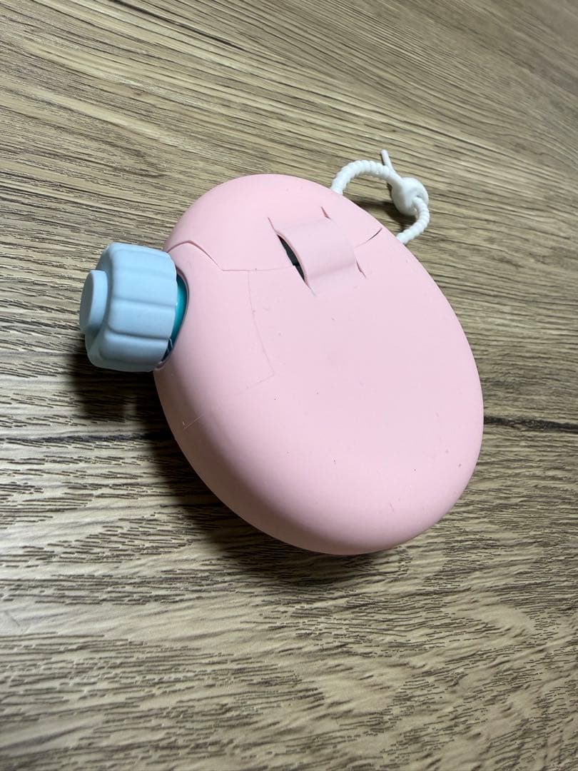 たまごっちパラダイス　たまパラ　ジェイドフォレスト（保護カバー・シール付き）