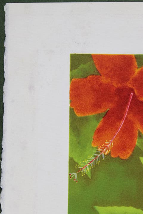 上村松篁 【花鳥】 リトグラフ 保証書有り