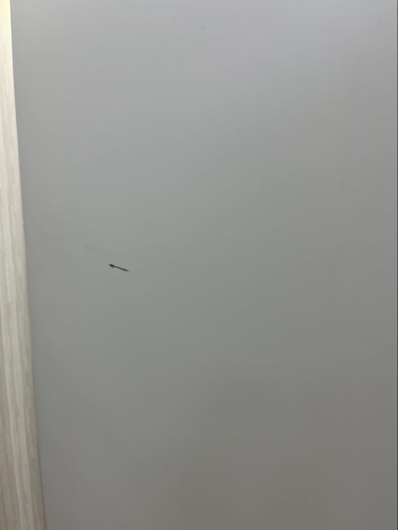 激安 3ドア 2019年 SHARP 350L SJ-W351E-S 冷蔵庫