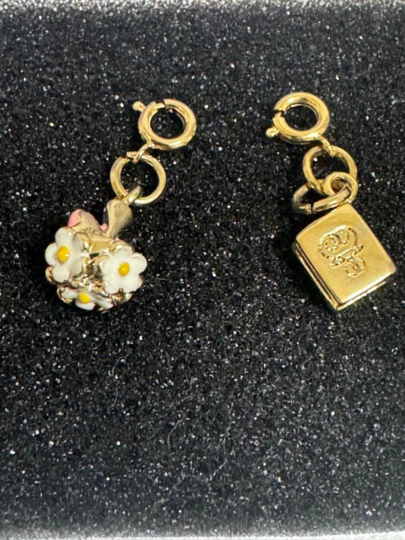 藤井フミヤ　FF限定　30周年記念リストウォッチ