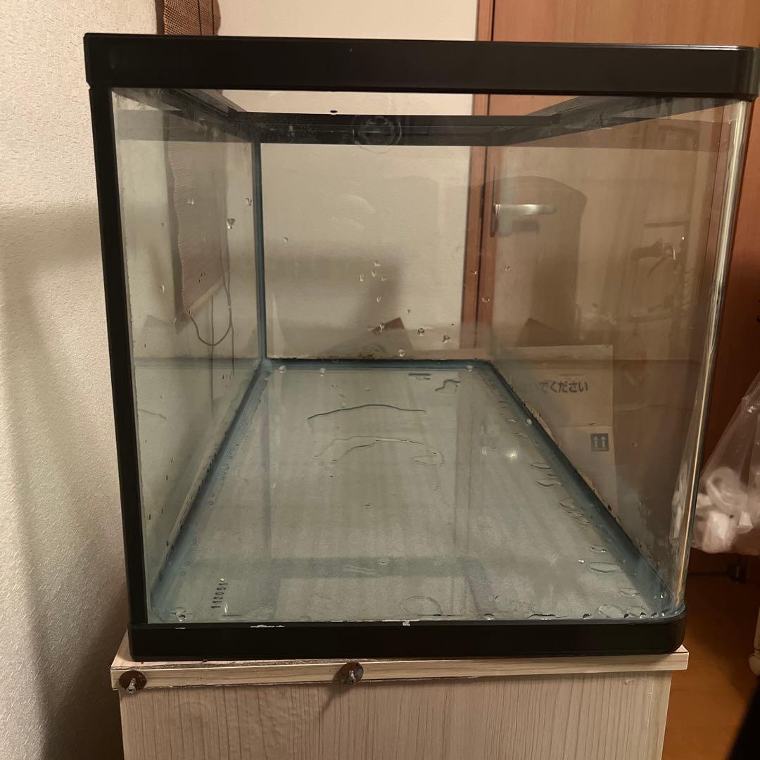 NISSO スティングレー　90cm 曲げガラス 水槽NS-113 魚　ニッソー