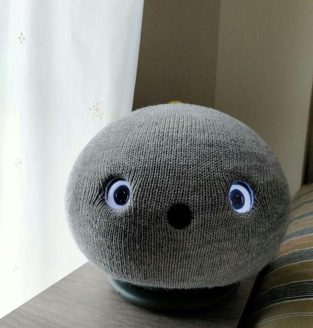 にゃほまるです！