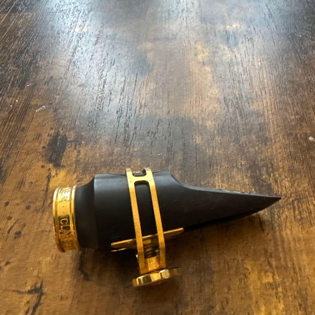 【値下げ中】Theo Wanne セオワニ GAIA2 6 アルトマウスピース