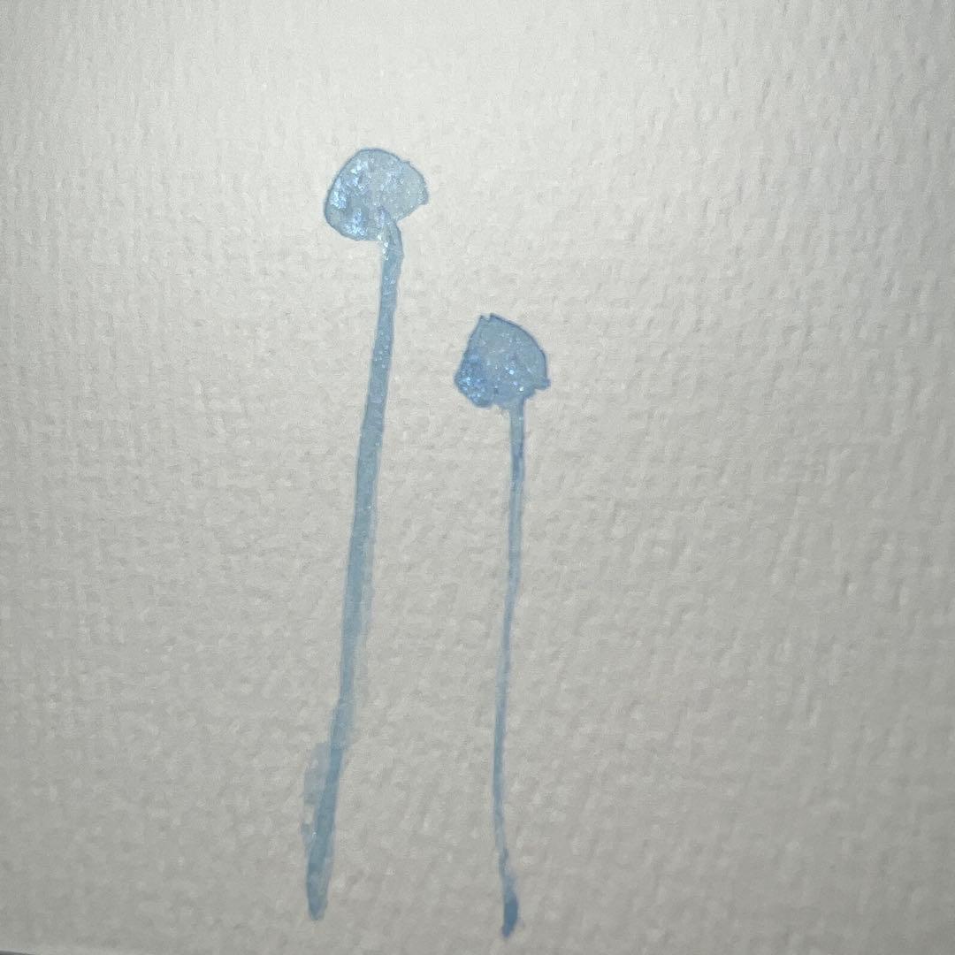 淡い幻想きのこの水彩(原画)