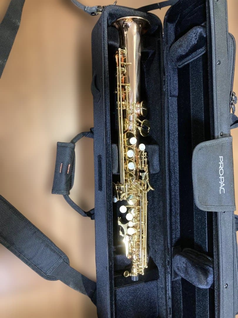 PROTEC ( プロテック ) / PB310 ソプラノサックスケース