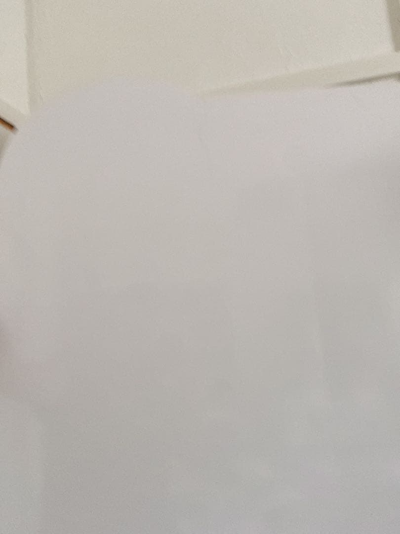 非売品＊堀北真希　等身大パネル　お正月 富士フィルム