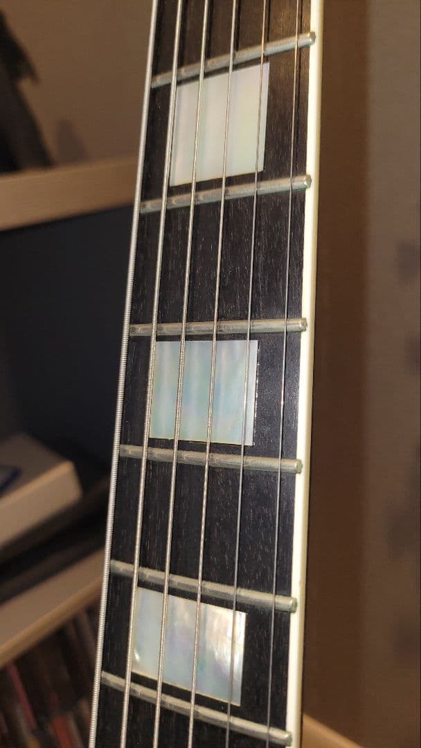 FUJIGEN NCLC-20E レスポールカスタム